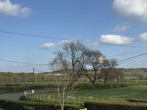 Photo 18- click for photo gallery